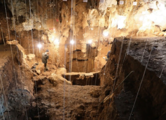 Sapiens Primeiro Migrou Para o Sudeste da Ásia Há 86 Mil Anos