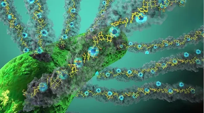 A Natureza Tem Rede Elétrica de Bactérias Acionada Por Luz