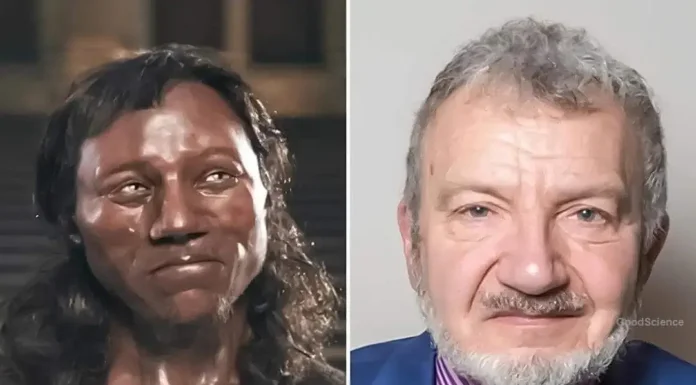 Homem de Cheddar, Grã-Bretanha, 9 Mil Anos: Pele Escura