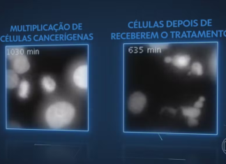 Técnica Destrói Célula Cancerígena Com Autodestruição