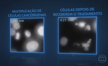 Técnica Destrói Célula Cancerígena Com Autodestruição | Nature & Space