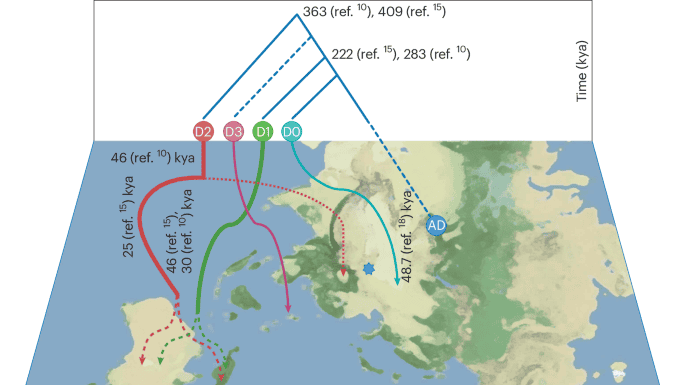Humanos Acasalaram Com Três Espécies de Denisovanos