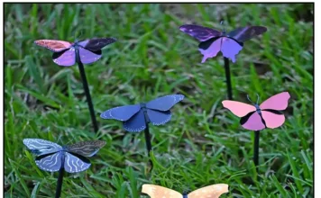 Criado Tinta Durável, Sem Corante e Reflete o Infravermelho | Nature & Space