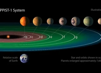 Vida no Cosmo Pode Não Parecer Nada Com a Vida na Terra