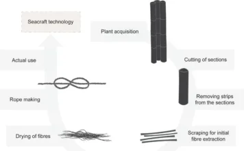 Artefatos de 40 Mil Anos Sugerem Navegação Oceânica Aberta | Nature & Space