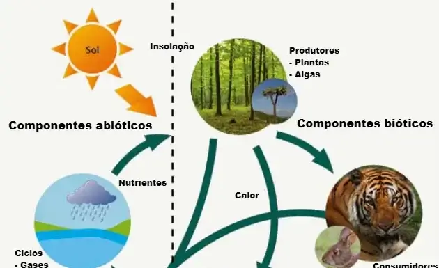 Ia Com Regras da Ecologia Geraria Soluções Harmônicas