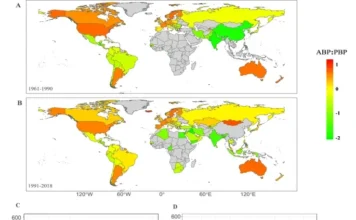 Proteína Vegetal Aumenta Expectativa de Vida em Adultos | Nature & Space