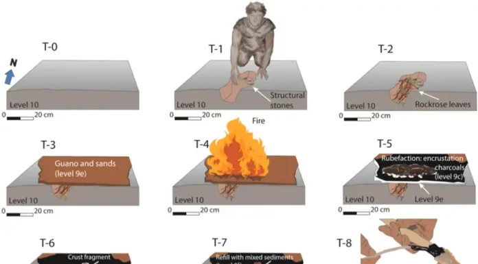 Neandertais Fabricavam Cola Para Ferramentas Há 65 Mil Anos