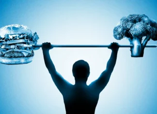 Proteína Vegetal e Animal Têm Efeito Idêntico nos Músculos