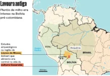 Antigos Milharais na Bolívia Ajudaram a Domesticar o Pato