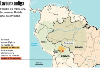 Antigos Milharais na Bolívia Ajudaram a Domesticar o Pato