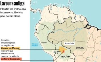 Antigos Milharais na Bolívia Ajudaram a Domesticar o Pato