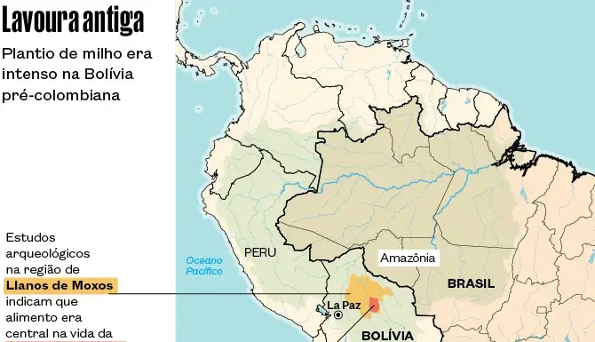 Antigos Milharais na Bolívia Ajudaram a Domesticar o Pato