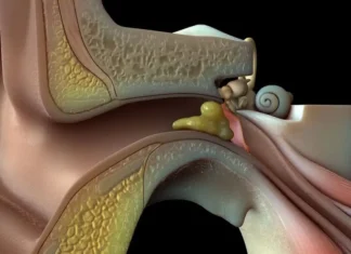 Cera de Ouvido Será Base de Exames e Diagnósticos