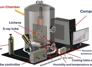 Vida: Liquens Sobreviveram em Teste Simulado de Marte