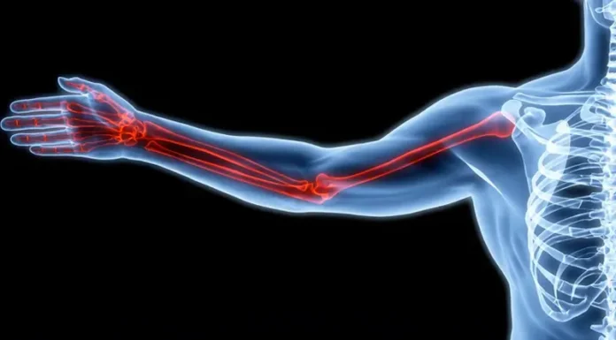 Cientistas Russos e Coreanos Criam Gel Que Regenera Ossos