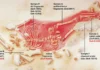 Criança Hibrida Neandertal-Sapiens Viveu Há 28 Mil Anos