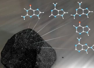 Princípio da Evolução Biológica Iniciou Antes da Vida