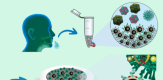 Sensor de Material Reciclável Detecta Covid-19 em Minutos