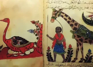 A Teoria da Evolução Escrita Mil Anos Antes de Darwin