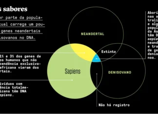 Homo Sapiens, Humanos Modernos: Quando e Como Evoluiu?