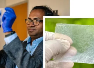 Substituto Promissor: Plástico de Celulose de Bactérias