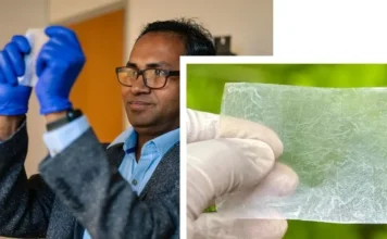 Substituto Promissor: Plástico de Celulose de Bactérias | Nature & Space