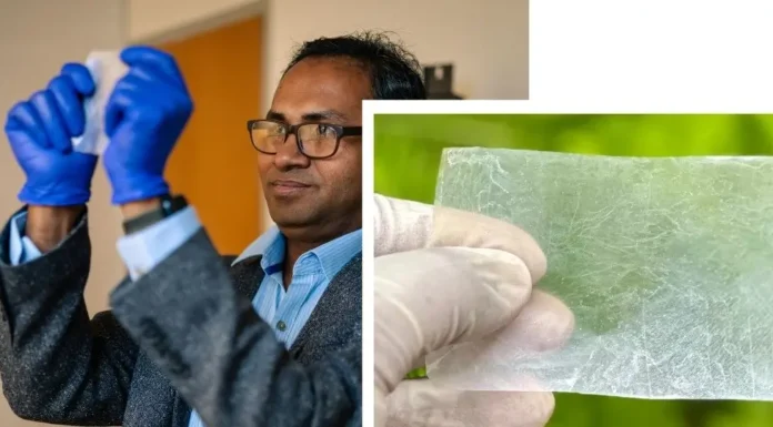 Substituto Promissor: Plástico de Celulose de Bactérias