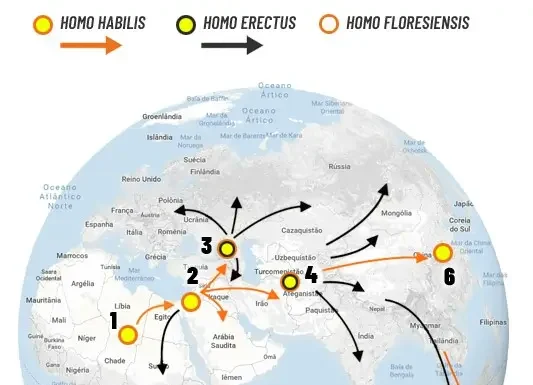 Homo Habilis: Primeiro Hominídeo a Sair da Africa?