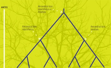 Evolução Pode Ocorrer em Salto Rápido e Não Apenas Lenta | Nature & Space