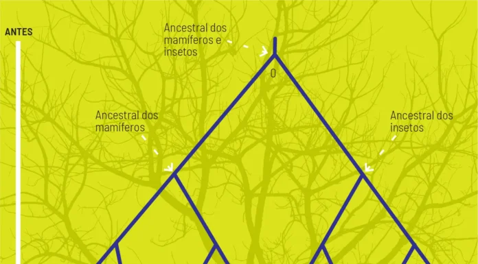 Evolução Pode Ocorrer em Salto Rápido e Não Apenas Lenta | Nature & Space