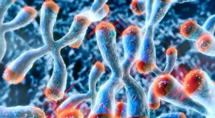 Pesquisa Revela Que Vitamina D3 Retarda o Envelhecimento