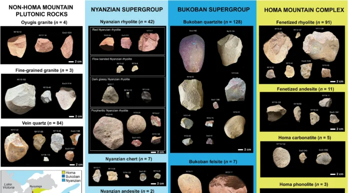 Parentes Humanos Já Planejavam Há 2,6 Milhões de Anos