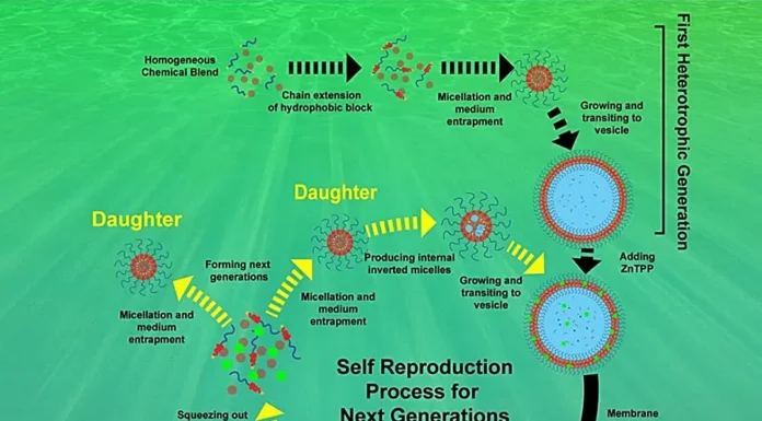 Como a Vida Surgiu? Experimento Tenta Responder