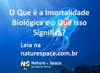 O Que É a Imortalidade Biológica e Qual a Importância?