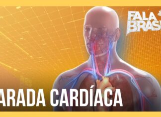 Cientistas Criam Substância que Repara Danos do Coração