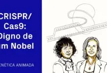 O que É a Edição do DNA Com a Técnica de CRISPR/Cas9?