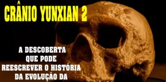 Fósseis podem Antecipar em 500 mil Anos Origens do Sapiens, e Apoiar Hipóteses Regionais