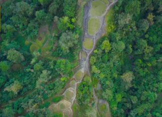 Arqueólogos Exploram a Cidade Perdida de Teyuna, na Floresta Colombiana