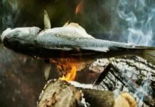 Homo Erectus Começou a Cozinhar Há 780 mil anos, Antes do Sapiens Existir