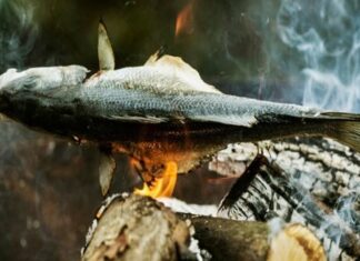 Homo Erectus Começou a Cozinhar Há 780 mil anos, Antes do Sapiens Existir