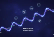 Epigenética: Como Fatores Externos Influenciam os Genes, e o Que Somos