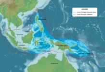 O Gigantesco Triangulo de Coral é Belo, Resiliente e Biodiverso: Amazônia Sob o Mar