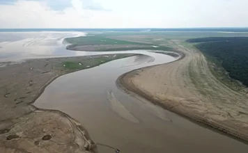 Em 2023 Foram Registradas as Mais Altas Temperaturas em Lagos da Amazônia | Nature & Space