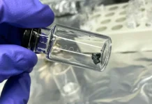 Amostra do Asteroide Bennu Surpreendem Com 14 Aminoácidos: Até Triptofano