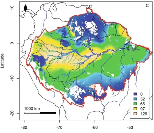 Troncos das Árvores da Amazônia Estão Ficando Mais Grossos Com o Aumento do CO²