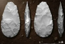 Machados de Pedras da época . reconstituição