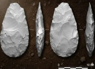 Machados de Pedras da época . reconstituição