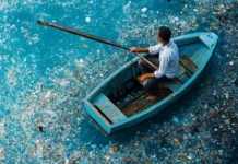 Micro Plásticos Reduzem a Absorção de CO2 e Acidificam o Oceanos ao Afetar os Plânctons e Bactérias