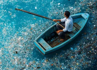 Micro Plásticos Reduzem a Absorção de CO2 e Acidificam o Oceanos ao Afetar os Plânctons e Bactérias | Nature & Space